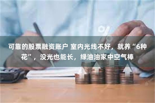 可靠的股票融资账户 室内光线不好，就养“6种花”，没光也能长，绿油油家中空气棒