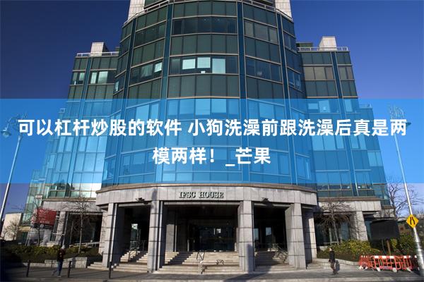 可以杠杆炒股的软件 小狗洗澡前跟洗澡后真是两模两样！_芒果
