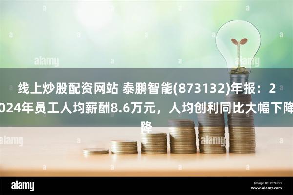 线上炒股配资网站 泰鹏智能(873132)年报：2024年员