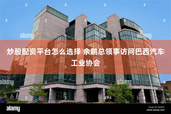 炒股配资平台怎么选择 余鹏总领事访问巴西汽车工业协会