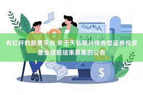 有杠杆的股票平台 关于天弘稳兴债券型证券投资基金提前结束募集的公告