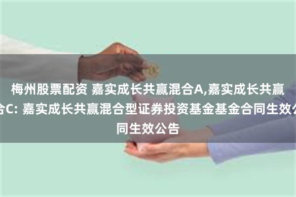 梅州股票配资 嘉实成长共赢混合A,嘉实成长共赢混合C: 嘉实成长共赢混合型证券投资基金基金合同生效公告