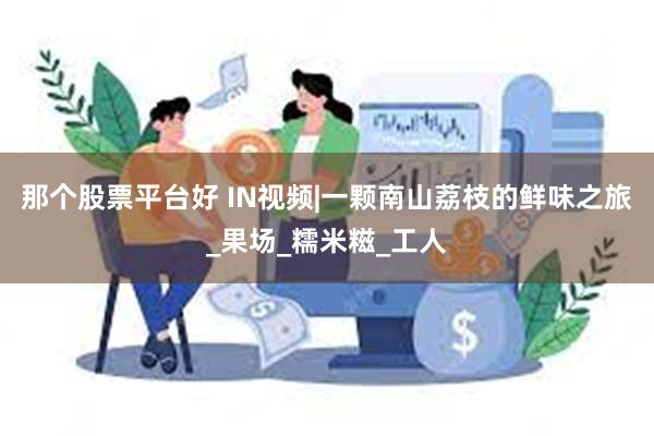 那个股票平台好 IN视频|一颗南山荔枝的鲜味之旅_果场_糯米