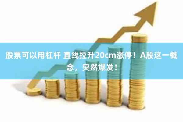 股票可以用杠杆 直线拉升20cm涨停！A股这一概念，突然爆发
