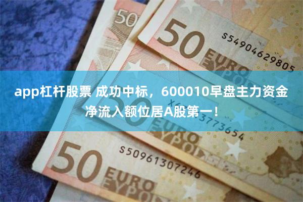 app杠杆股票 成功中标，600010早盘主力资金净流入额位