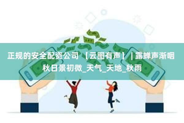 正规的安全配资公司 【云图有声】 | 露蝉声渐咽 秋日景初微