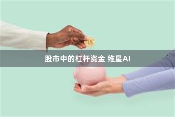 股市中的杠杆资金 维星AI